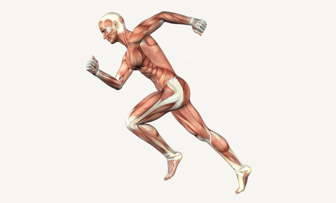 sprinting technique